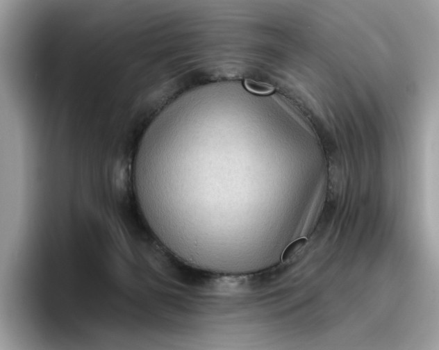 X0000095960126200801251158