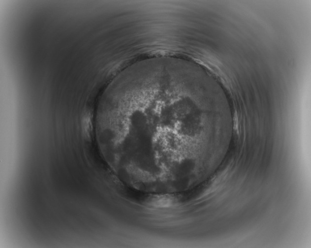 X0000095960127200801251158