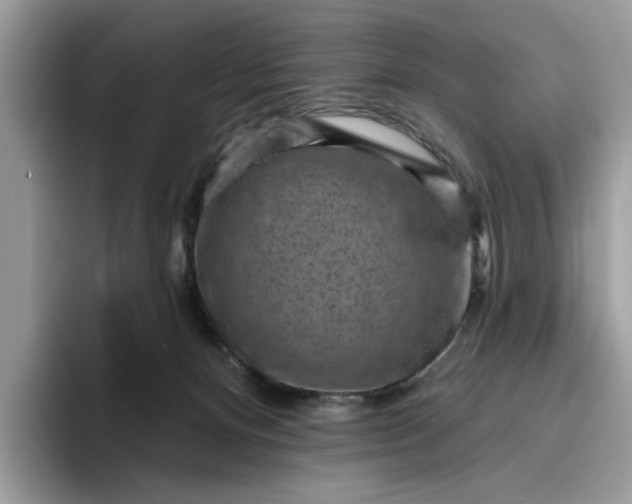 X0000095960128200801251158