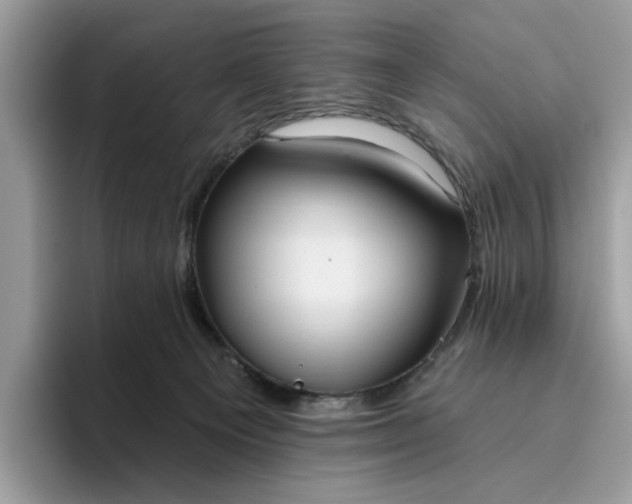 X0000095960129200801251158