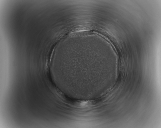 X0000095960130200801251158