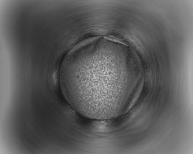 X0000095960131200801251157