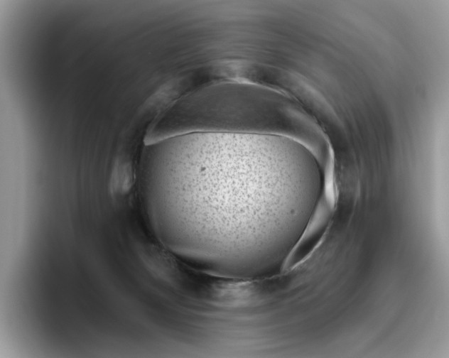 X0000095960132200801251157