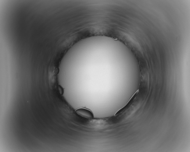 X0000095960133200801251157