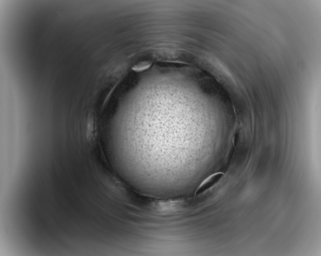 X0000095960134200801251157