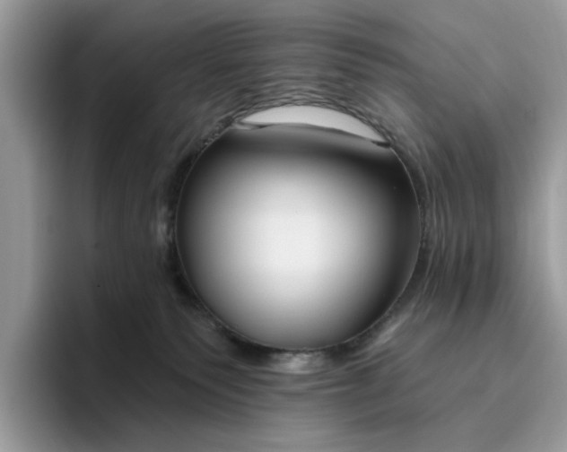 X0000095960135200801251157