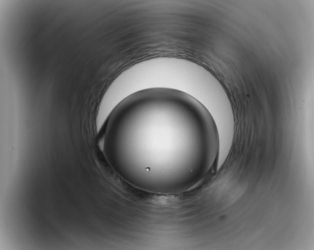 X0000095960137200801251157