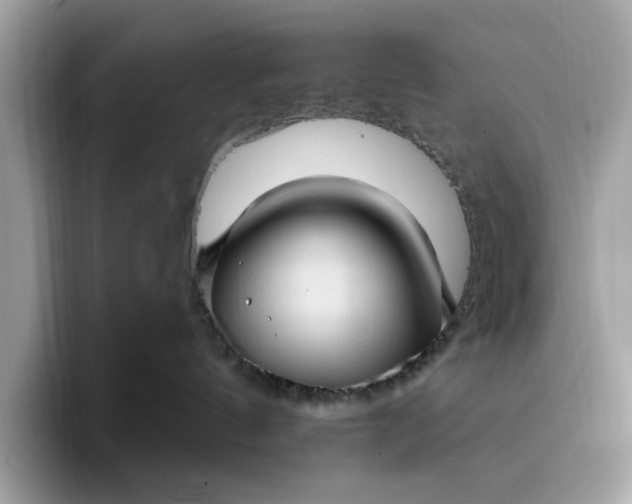 X0000095960144200801251157