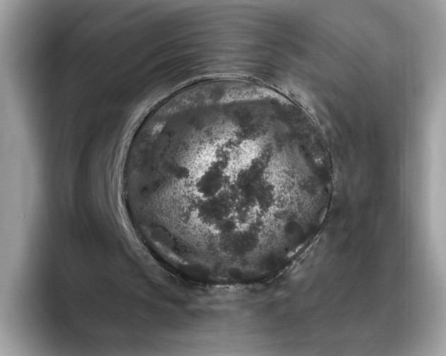 X0000095960145200801251157