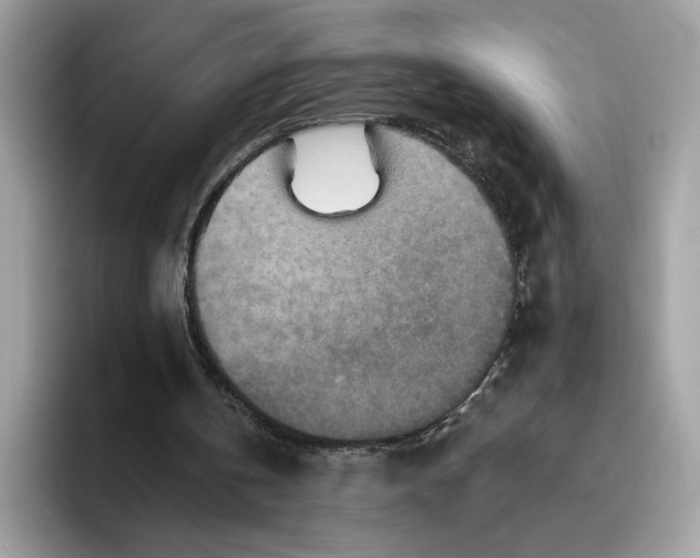 X0000095960146200801251157