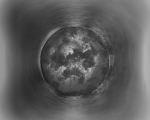 X0000095960147200801251157