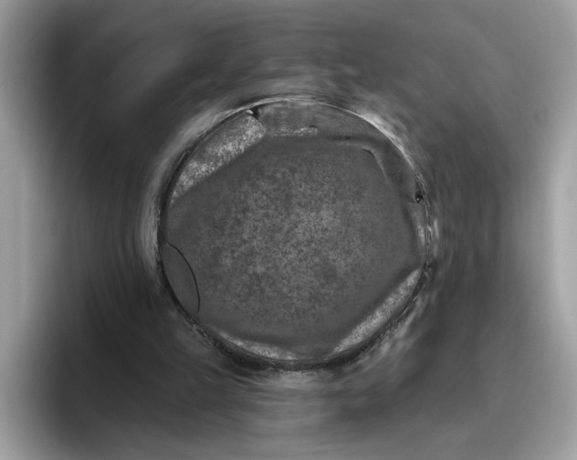 X0000095960149200801251157