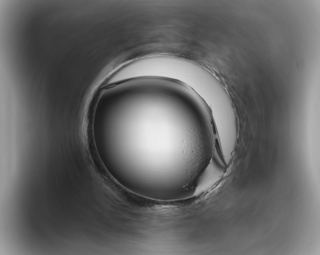 X0000095960150200801251157