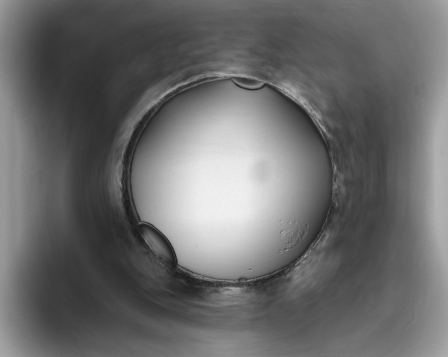 X0000095960151200801251157