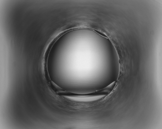 X0000095960152200801251157