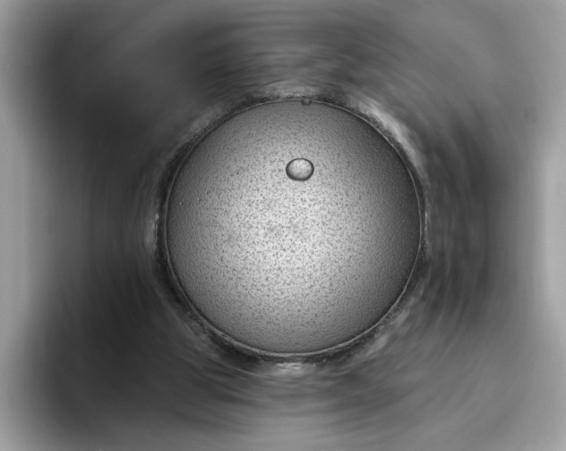 X0000095960153200801251157