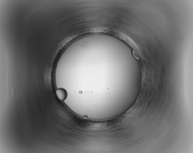 X0000095960155200801251157