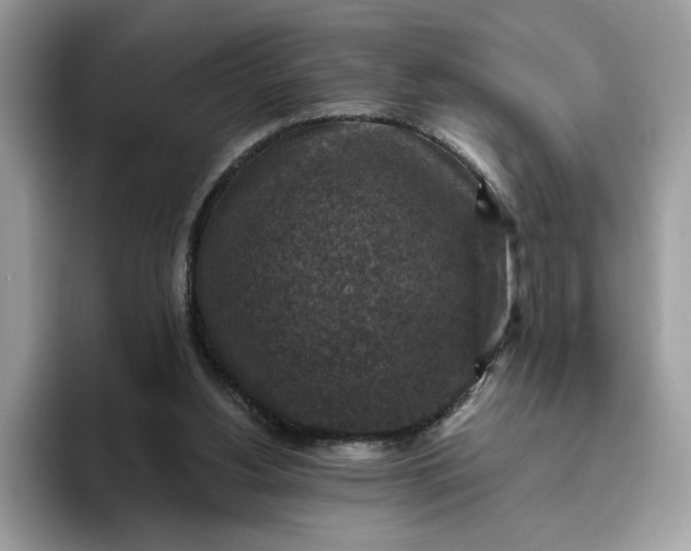 X0000095960156200801251157