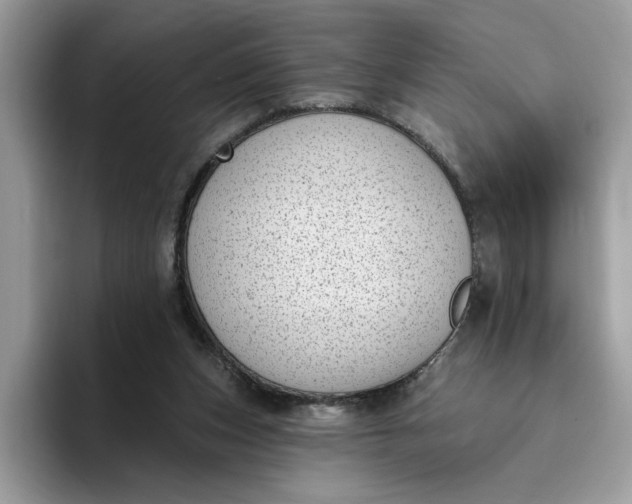 X0000095960159200801251157