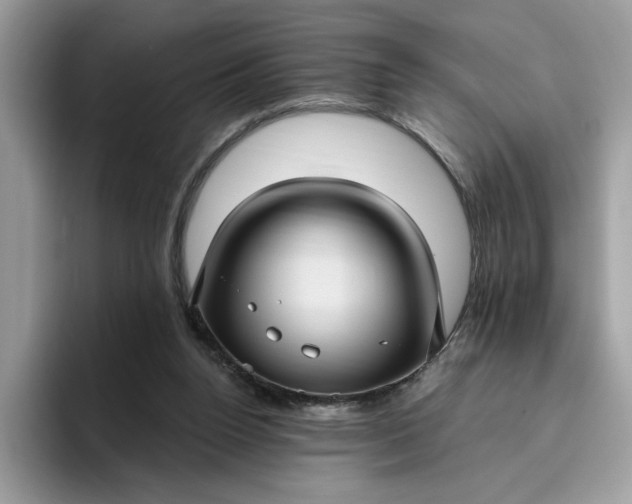 X0000095960160200801251157