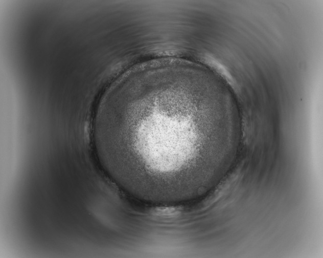 X0000095960161200801251157