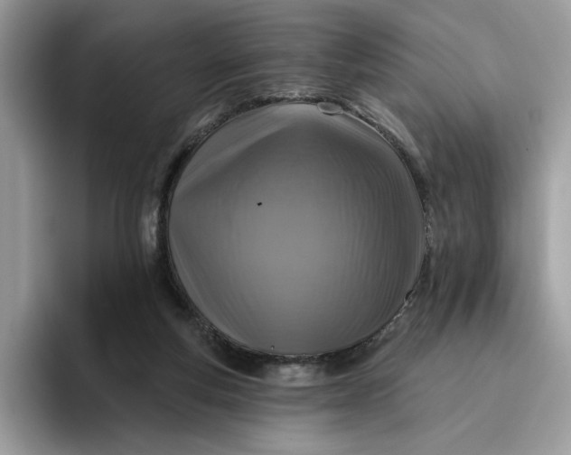 X0000095960163200801251157