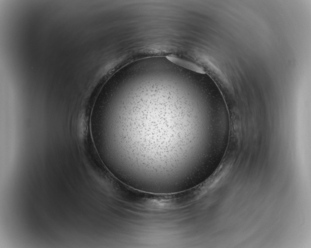 X0000095960164200801251157