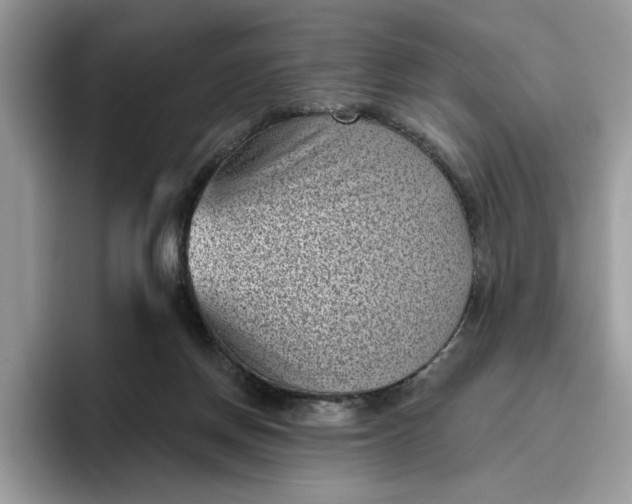 X0000095960166200801251157