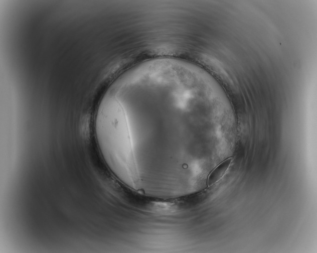 X0000095960167200801251157