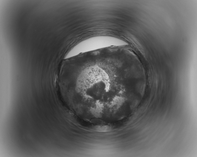 X0000095960169200801251157