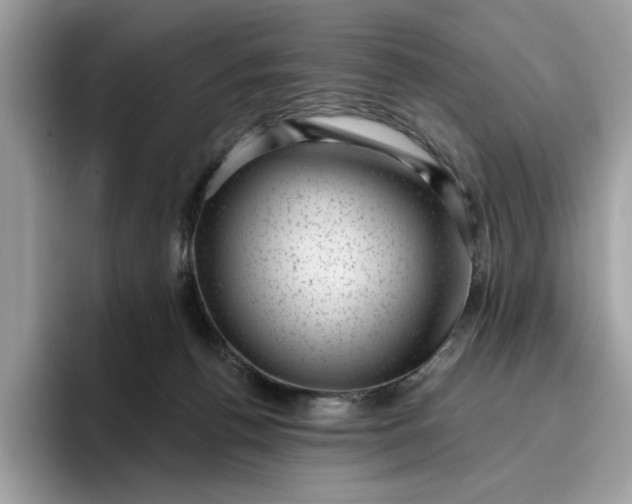 X0000095960176200801251157