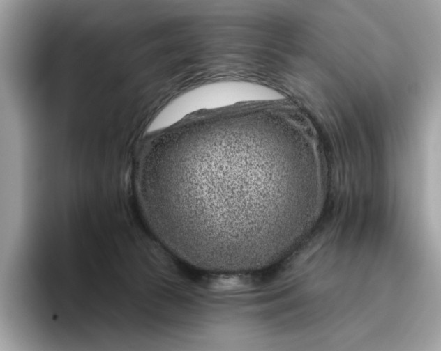 X0000095960177200801251157