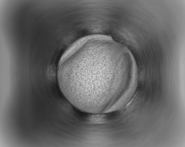 X0000095960179200801251157