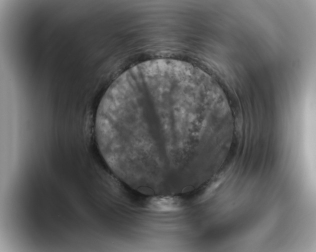 X0000095960181200801251157