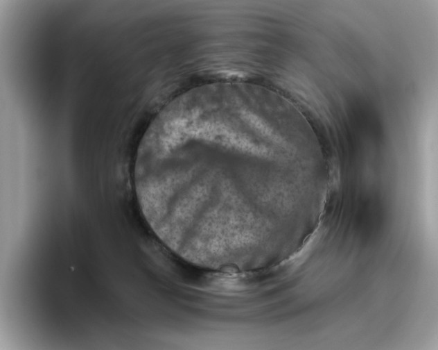 X0000095960182200801251157