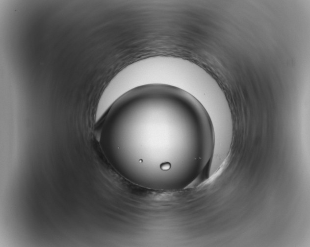 X0000095960186200801251157