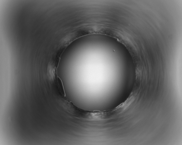 X0000095960188200801251157