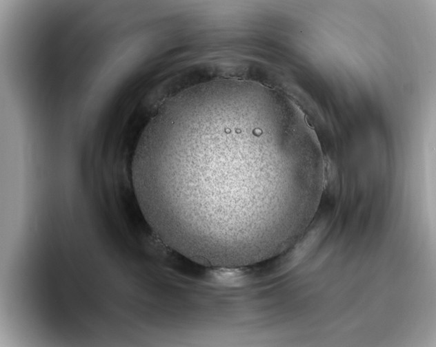 X0000095960189200801251157