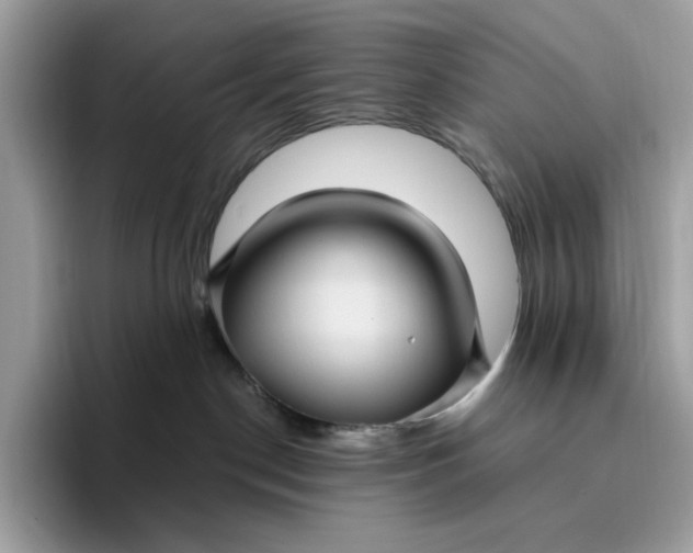 X0000095960190200801251157