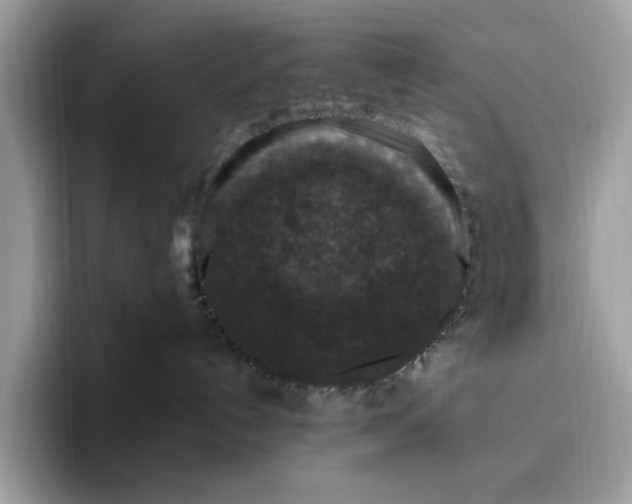 X0000095960192200801251157