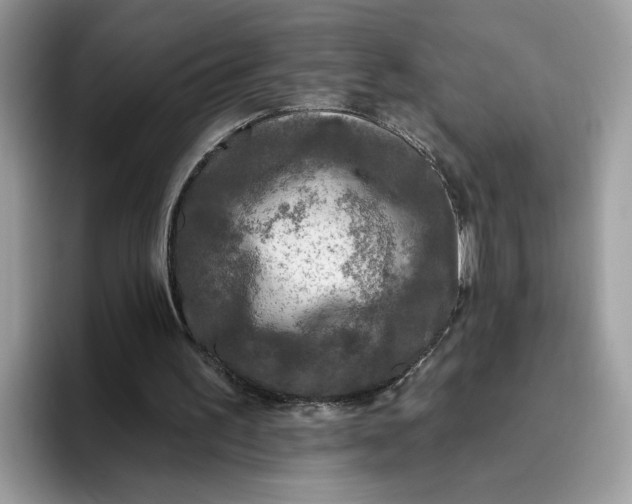 X0000095960195200801251157