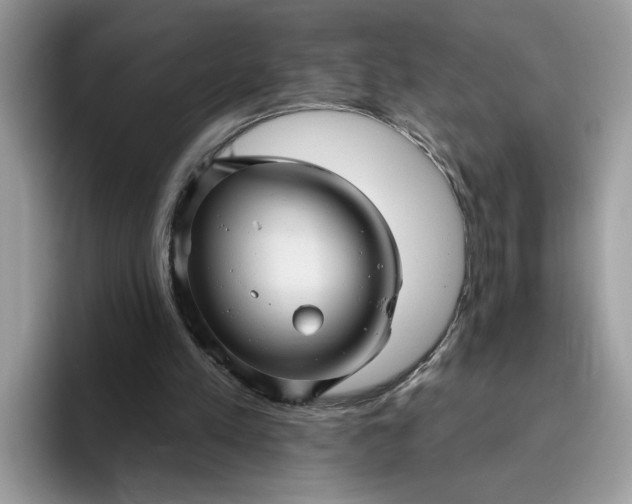 X0000095960197200801251157