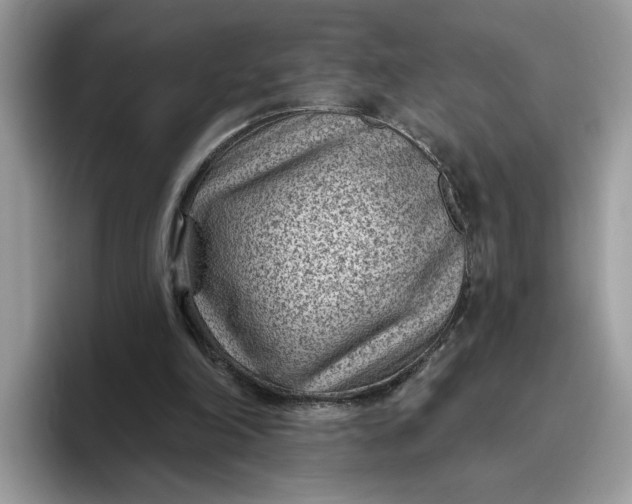 X0000095960198200801251157