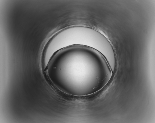 X0000095960199200801251157