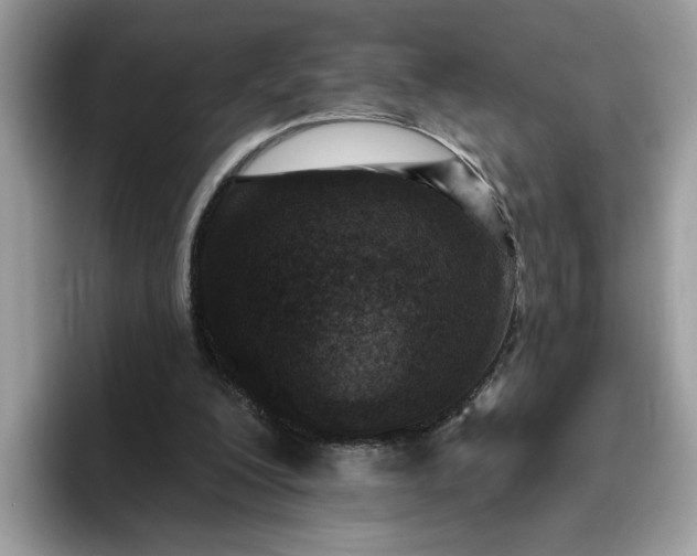 X0000095960200200801251157