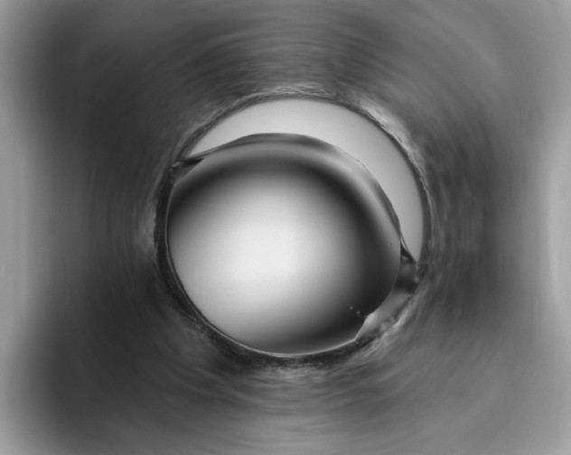 X0000095960201200801251157