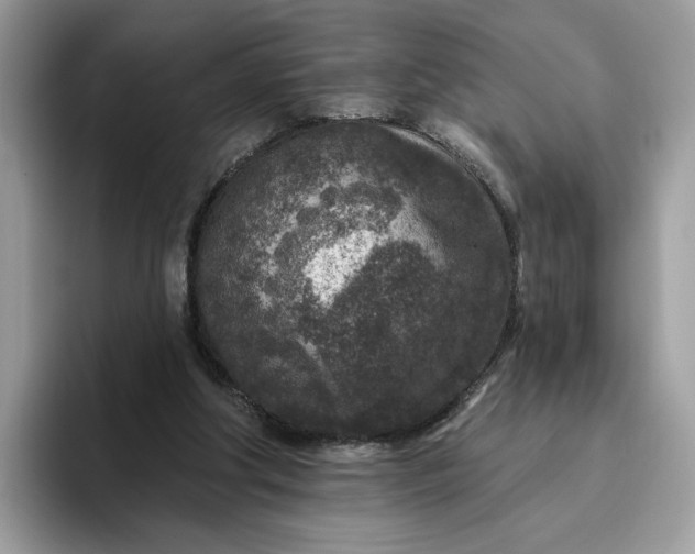 X0000095960202200801251157