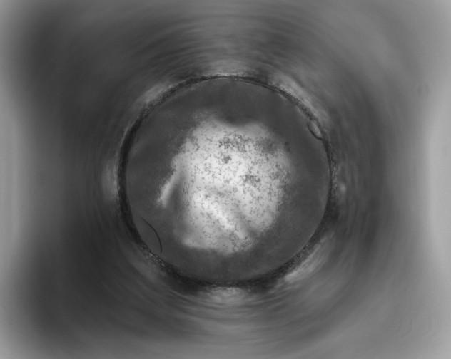 X0000095960203200801251157