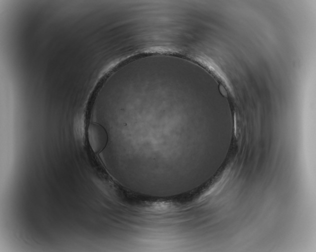 X0000095960204200801251157