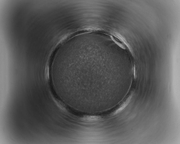 X0000095960205200801251157